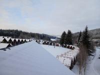 20250216_074830 (1024x768).jpg